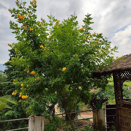 Nature Villa ริชิเคช ภายนอก รูปภาพ
