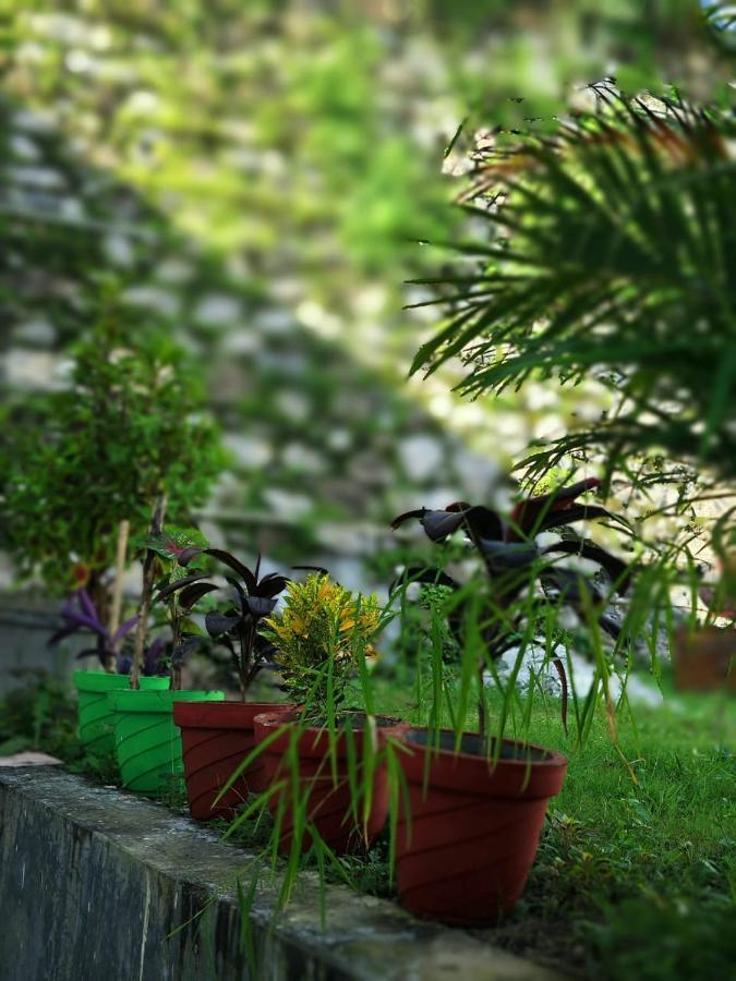 Nature Villa ริชิเคช ภายนอก รูปภาพ