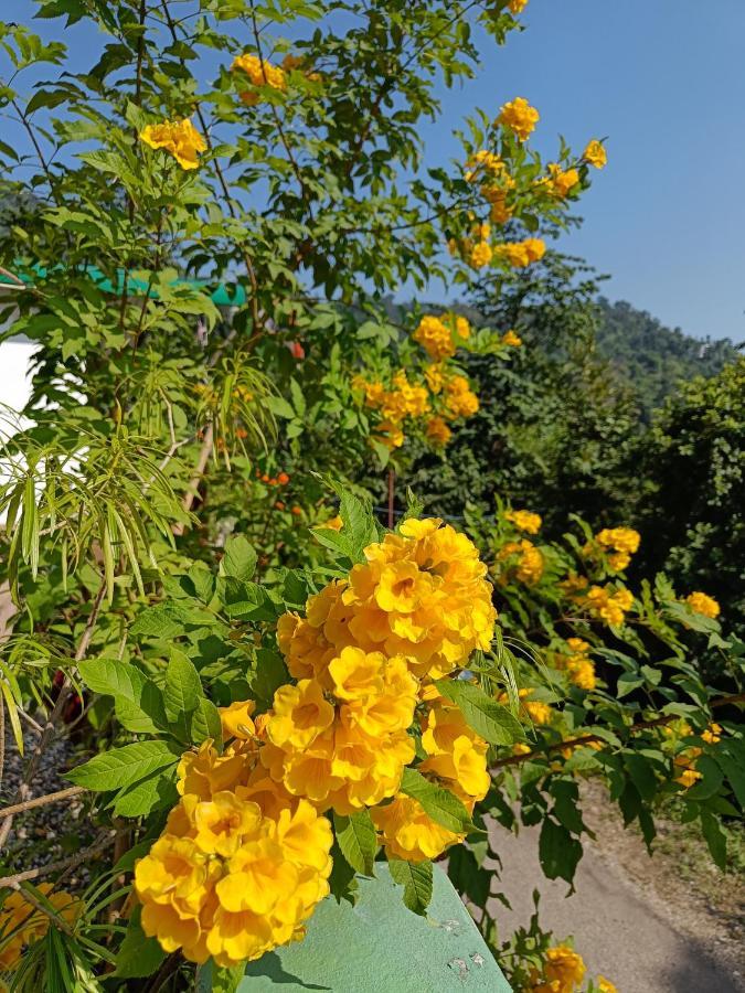 Nature Villa ริชิเคช ภายนอก รูปภาพ