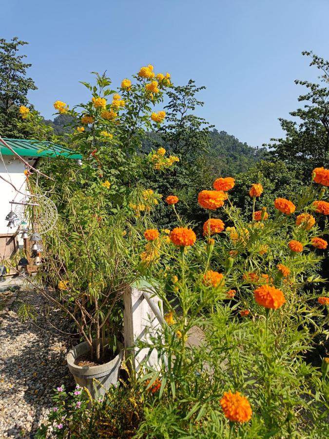 Nature Villa ริชิเคช ภายนอก รูปภาพ